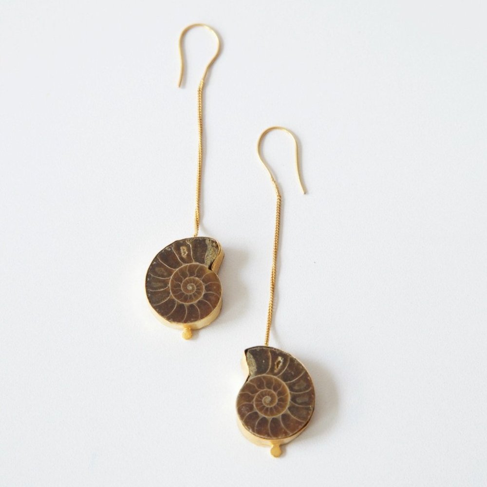 Ammonite Earrings